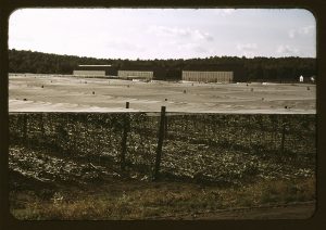 تحلیلی بر ساختار پنهانِ کیفیت در توتون پیپ : برگ، سایه، و توهمِ تروآر